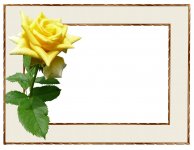 מסגרת פרחים4.jpg
